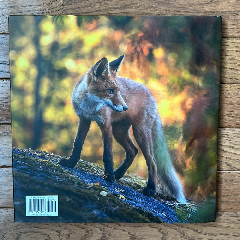 🦊 NEW How To Find A Fox Book Hardcover by Kate Gardner kids book bedtime story - Picture 9 of 13